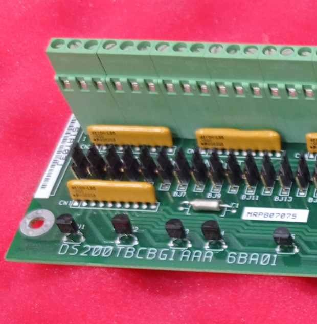 GE DS200TBCBG1A RTD and Analog Input Termination Module